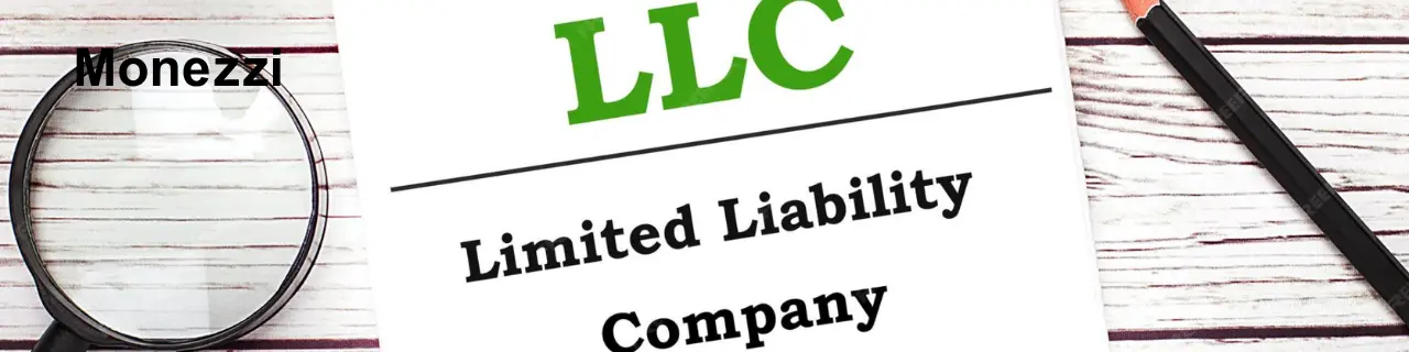 LLC Açılımı Nedir? Limited Liability Company Türkçe Anlamı | Monezzi