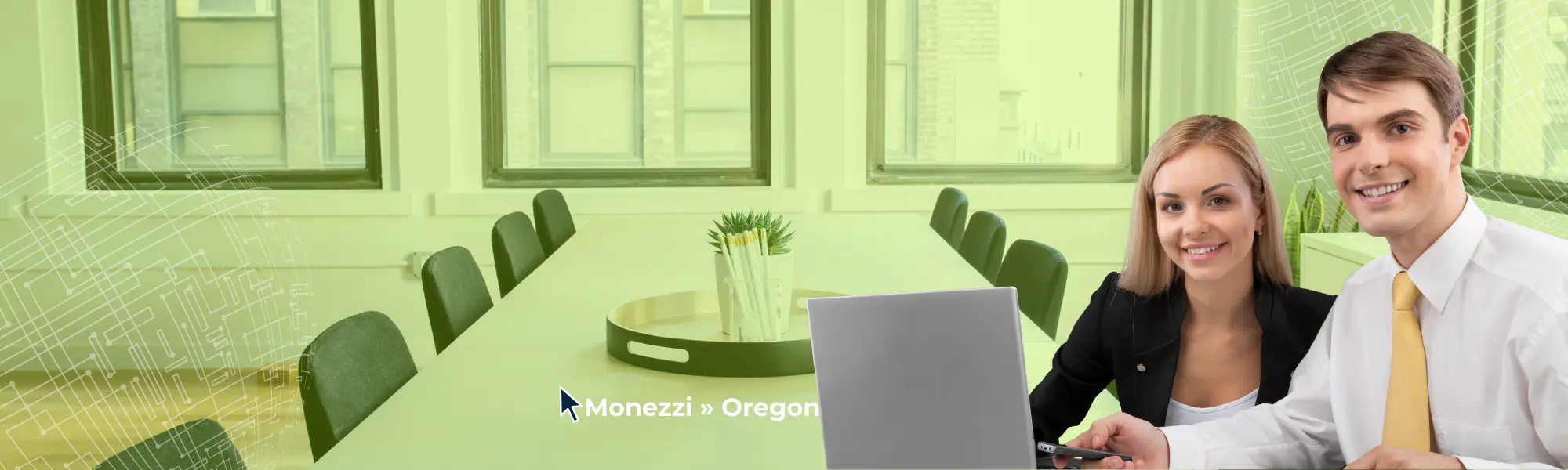 التقارير الضريبية الفيدرالية وولائية وإدارة الشركات المهنية | Monezzi