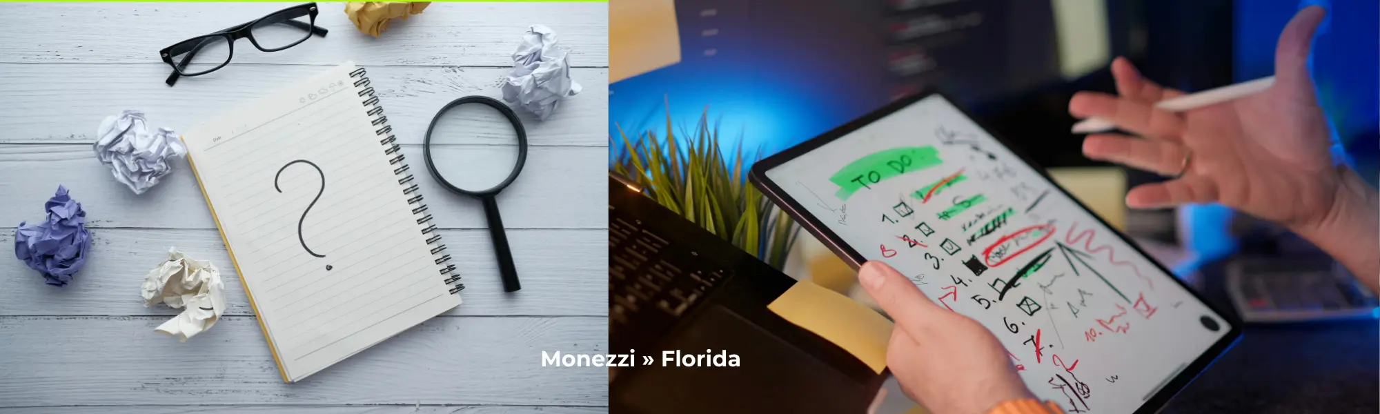 تأسيس الشركات الرقمية وإدارة الأعمال التقنية في فلوريدا | Monezzi